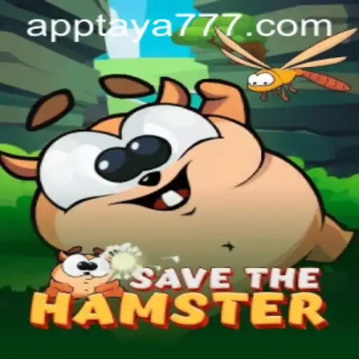 Discovering the Adventure of 